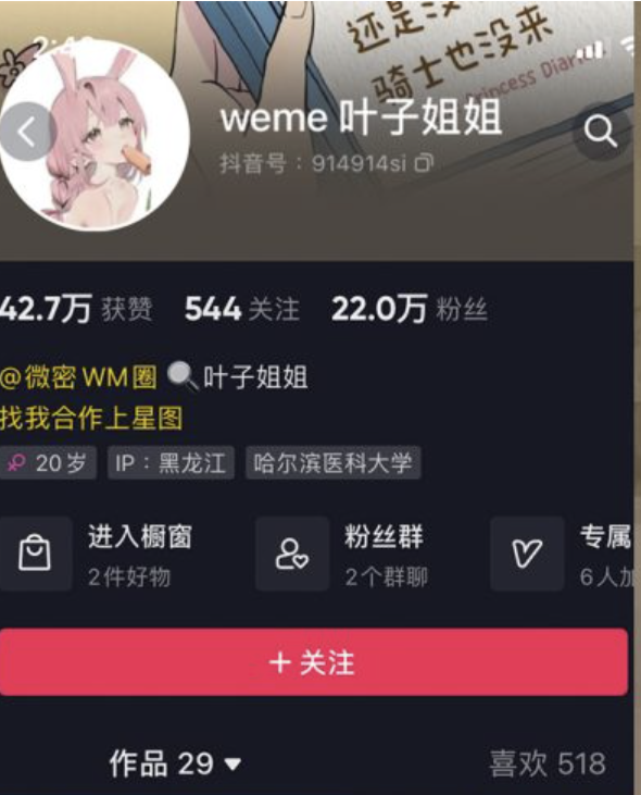 叶子姐姐 微密圈最新合集-御萝岛屿