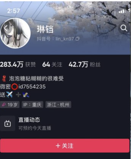 琳铛 – 微密圈合集-御萝岛屿