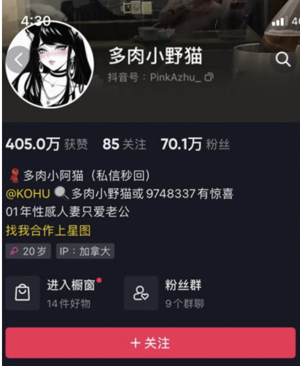 多肉小野猫 微密圈合集[58套]-御萝岛屿