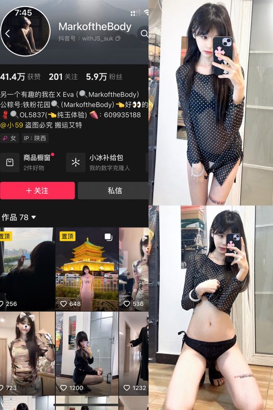 抖音 MarkoftheBodady 铁粉空间-御萝岛屿