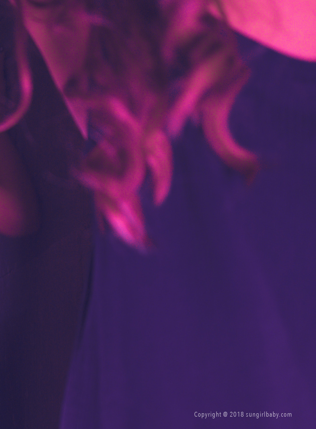 图片[56]-[SUNGIRL阳光宝贝]NO.014 致命第二发！囍娘Lara 后降天下！Lara Fan – COSPLAY-御萝岛屿