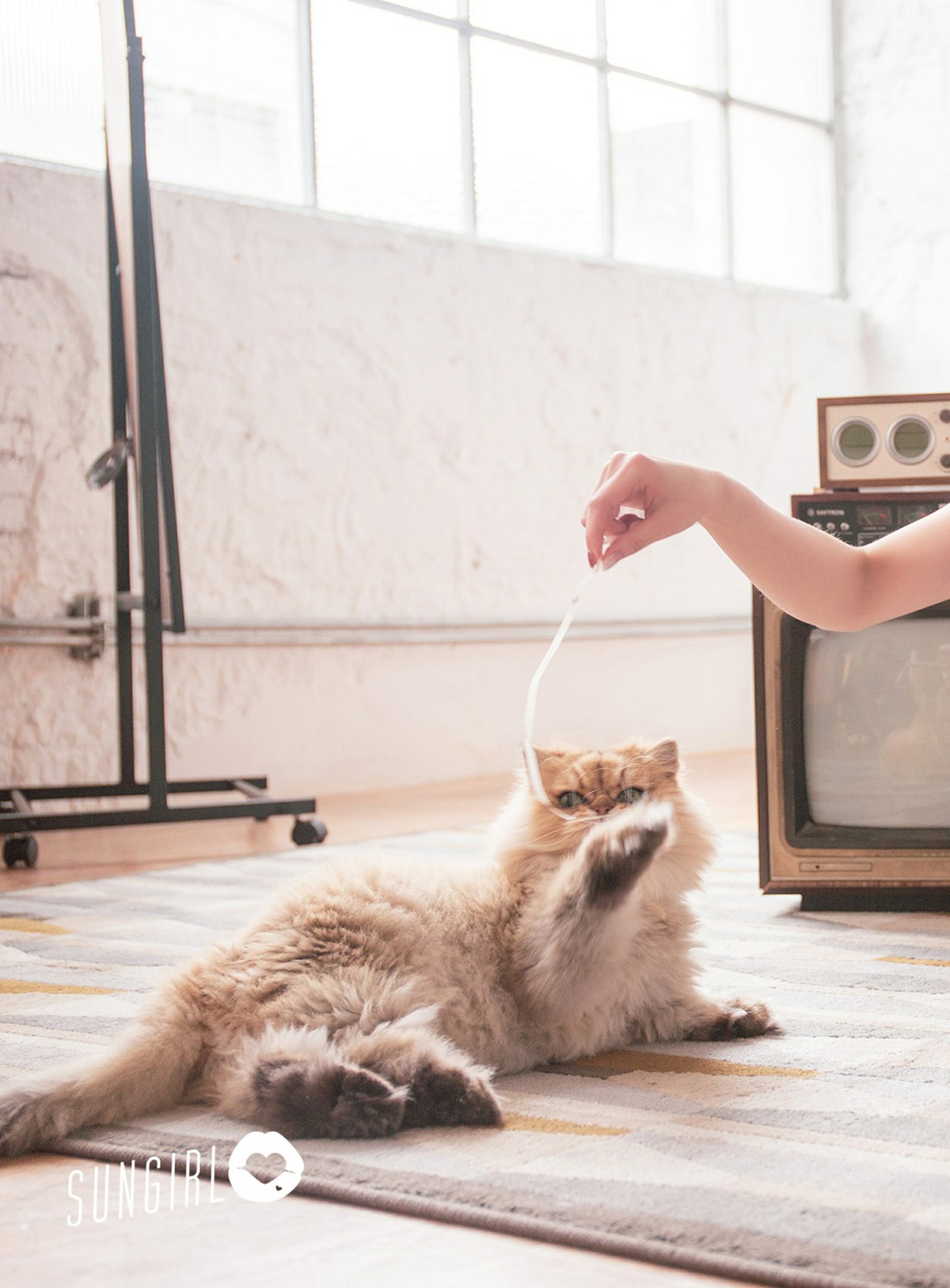 图片[29]-[SUNGIRL阳光宝贝]NO.009 黑色诱惑！蔓蔓宠爱你写真 黄蔓蔓Irenea – COSPLAY-御萝岛屿