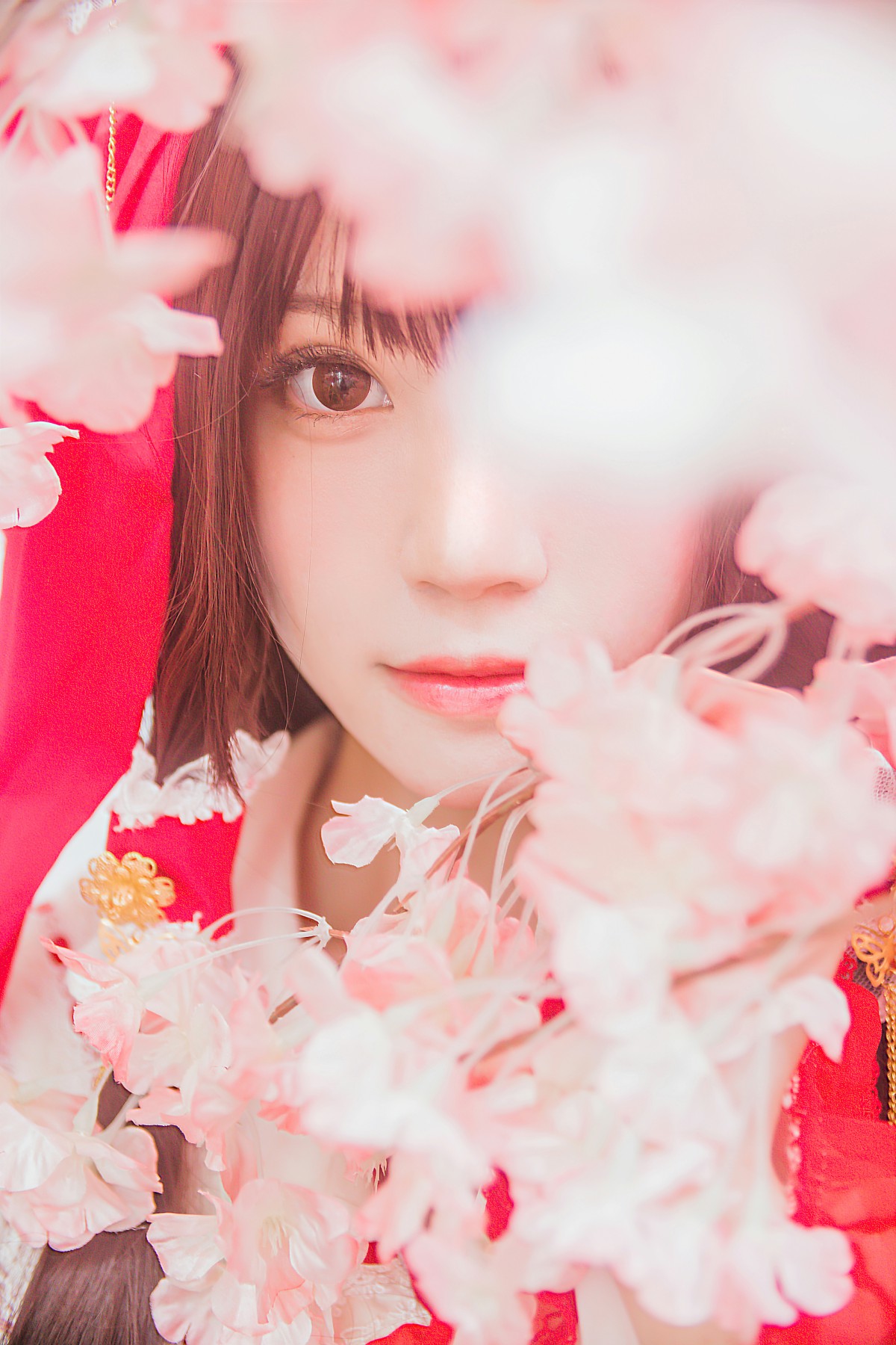 图片[34]-萝莉风COS 桜桃喵 – 灵梦 新年快乐 – COSPLAY-御萝岛屿