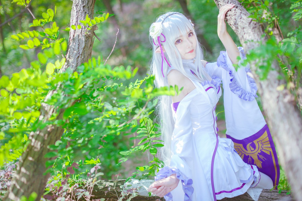 图片[2]-[Cosplay]从零开始的异世界生活 艾米莉娅 精美Cos – COSPLAY-御萝岛屿