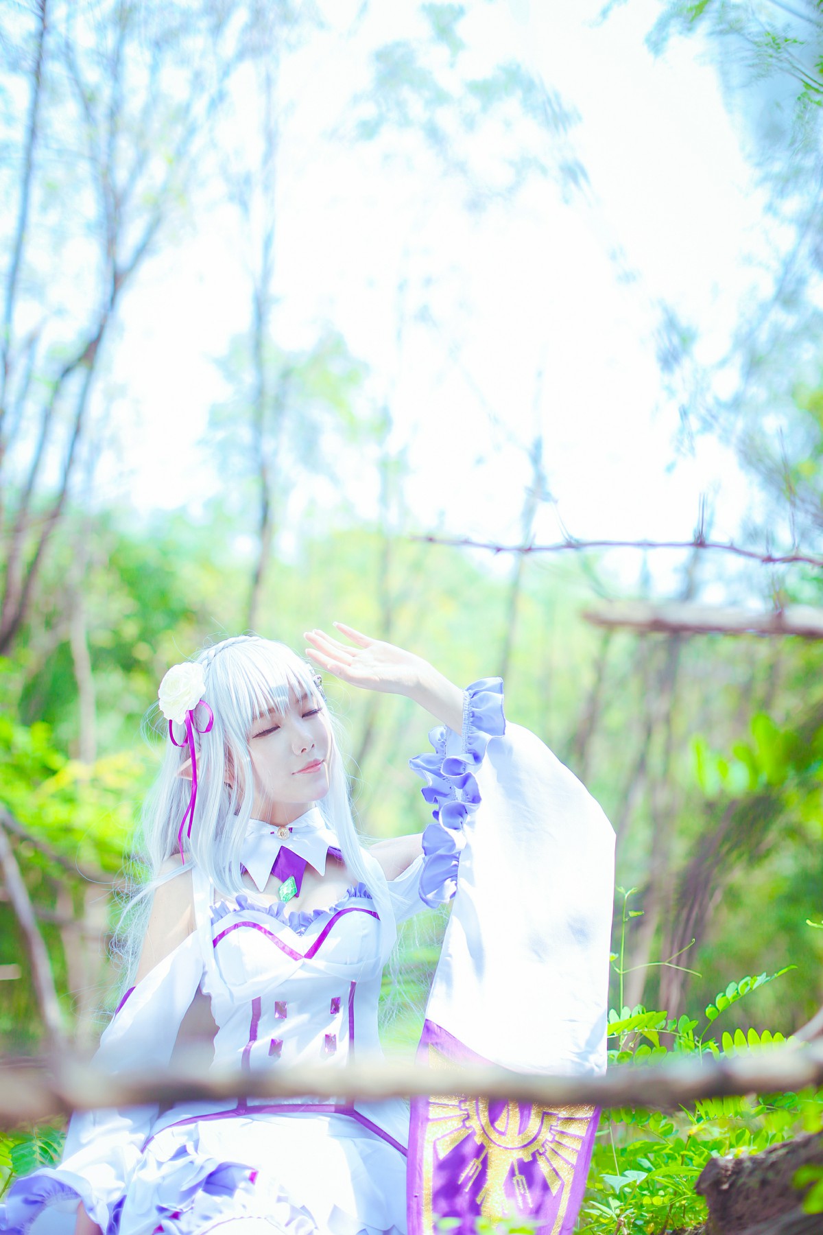 图片[17]-[Cosplay]从零开始的异世界生活 艾米莉娅 精美Cos – COSPLAY-御萝岛屿