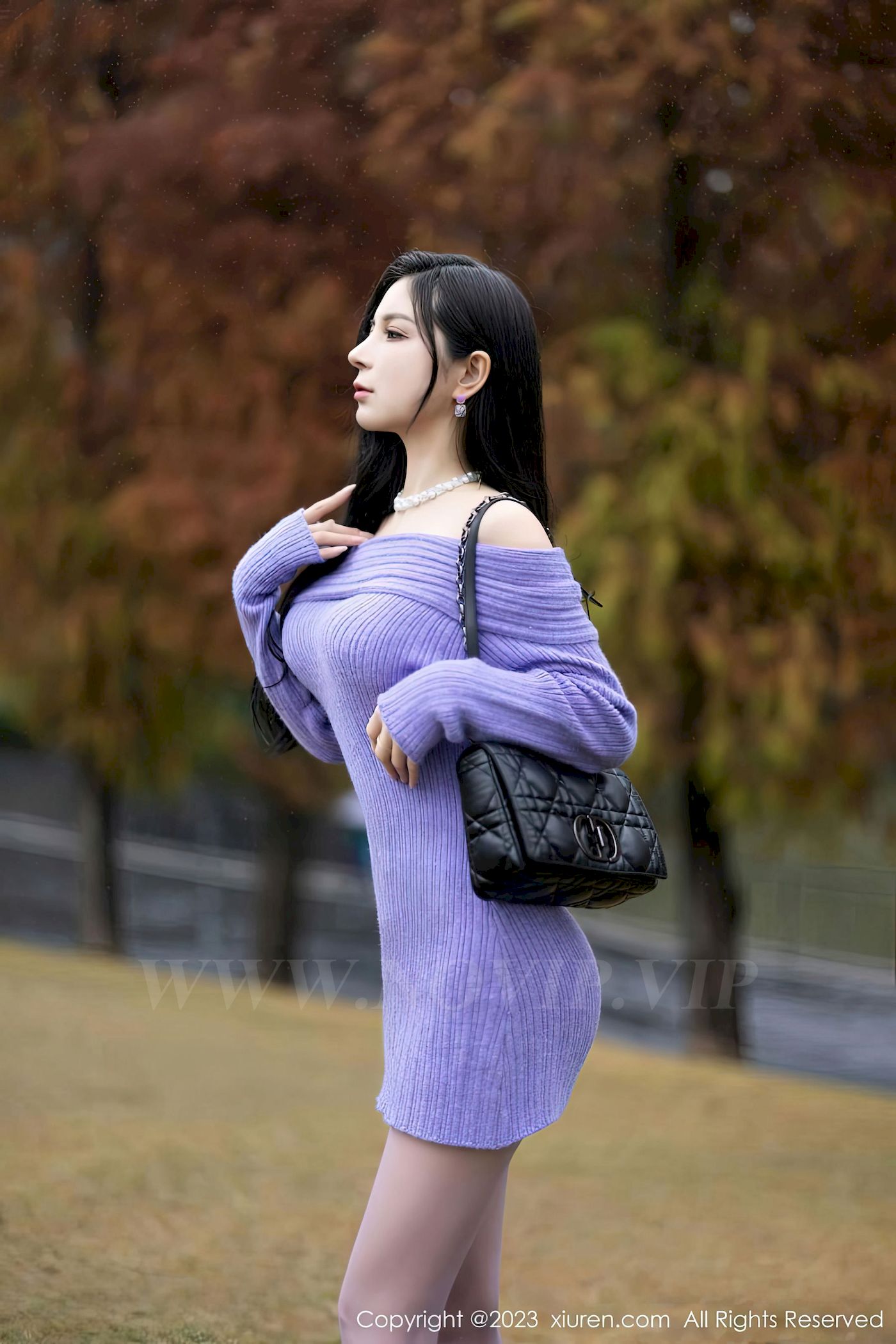 图片[1]-[XiuRen秀人网] No.6277 模特小蛮妖Yummy – 紫色长裙丝袜海南岛旅拍-御萝岛屿